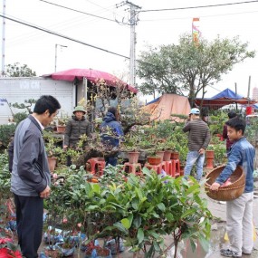 Những khu du lịch hút khách nhất Nam Định