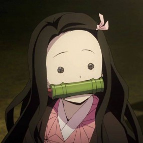 nezuko-Chan ~