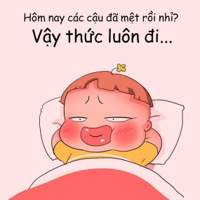 Những cú đêm đâu rồi