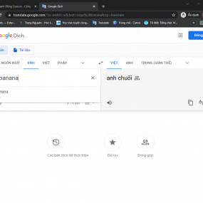 Google Dịch bị sao đây ?