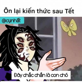 kiến thức sau tết của tui