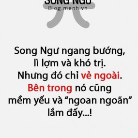 Có ai cung SONG NGƯ như mềnh ko?