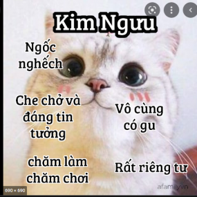 Cung : kim ngưu ( có ai cung kim ngưu k )