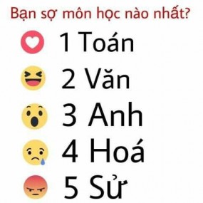 Tiểu Hổ - 2022-06-29 15:31:21