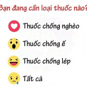 Tiểu Hổ - 2022-06-29 15:31:50