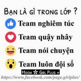 Tiểu Hổ - 2022-06-30 10:23:13