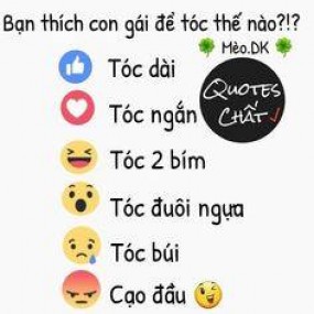 Tiểu Hổ - 2022-06-30 10:23:35