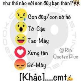 Tiểu Hổ - 2022-06-30 10:24:26