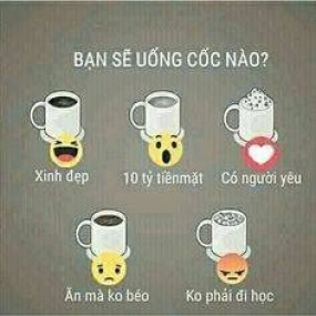 Tiểu Hổ - 2022-06-30 10:25:21