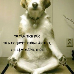 T quyết định roài =)) đừng cai cản :)) by :Huy