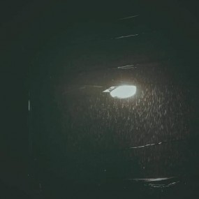 KẺ THUA CUỘC chỉ bt ngắm mưa trog đêm