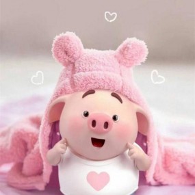 Mọi ngừi thấy bé heo cute hong ạ???