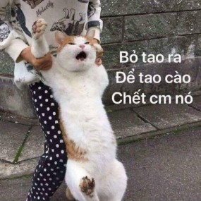 Min mít ướt - 2022-10-22 02:55:22