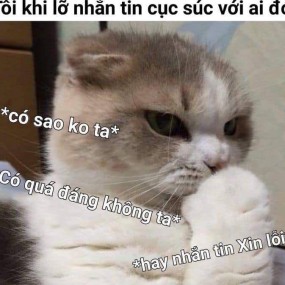 khi nhắn tin của tui