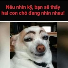 để ý nha