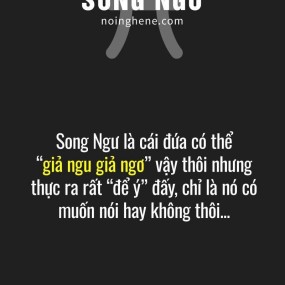 Song Ngư <33