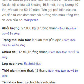 Trần Ngọc Mai Hương - 2023-05-10 12:39:55