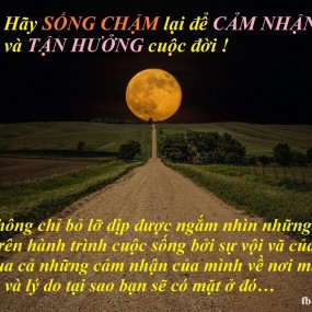 Sống chậm lại ta mới cảm nhận nhịp thở của mọi vật xung quanh ta thật êm dịu làm sao