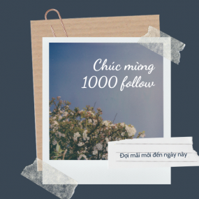 Mừng 1000 follow