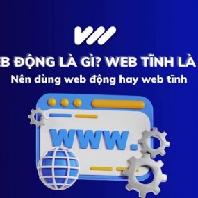 Web động là gì? Web tĩnh là gì? Nên dùng web động hay web tĩnh