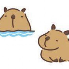 capy bara