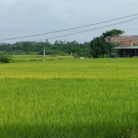 ảnh đẹp