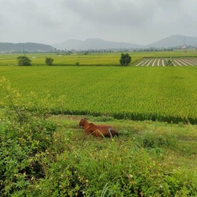 ảnh đẹp