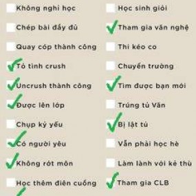 Năm học này tớ đã...