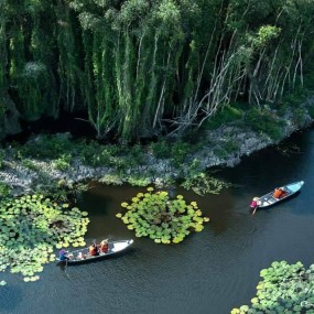 Có ai muốn 1 chút yên bình ko nhỉ ( tất cả ảnh mình lấy ở mai thanh hạ nha)