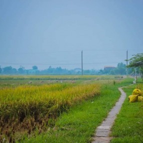 Có ai muốn 1 chút yên bình ko nhỉ ( tất cả ảnh mình lấy ở mai thanh hạ nha)