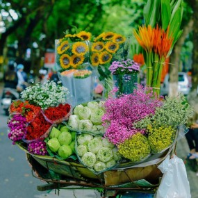 Có ai muốn 1 chút yên bình ko nhỉ ( tất cả ảnh mình lấy ở mai thanh hạ nha)