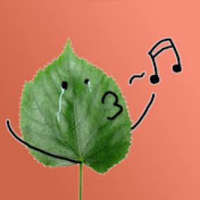 Sing Leaf - 2024-09-28 22:27:06