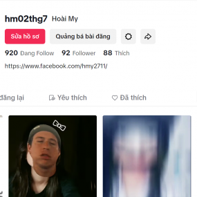 Chéo fl tiktok k ạ 