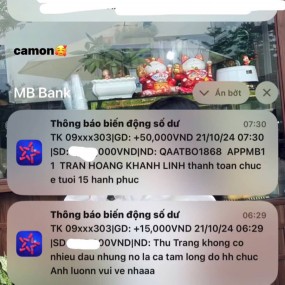 haby bot day của chíp