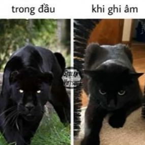 Đường xa xăm ta vẫn sẽ cứ đi dù tình ngang trái;