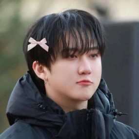 những chiếc mèo ảnh về changbin skzz