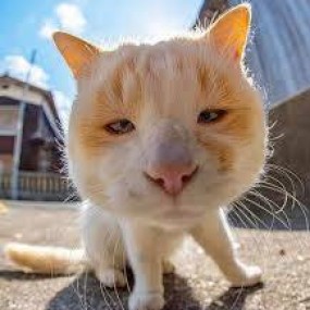 ĐII