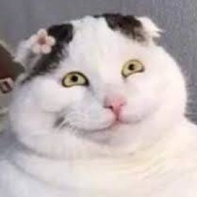 ĐII