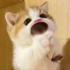 ĐII