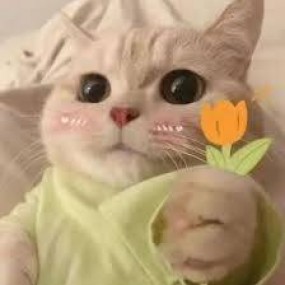 ĐII