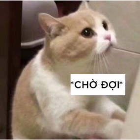 anh ấy xem nhưng ko rep tôi ..........