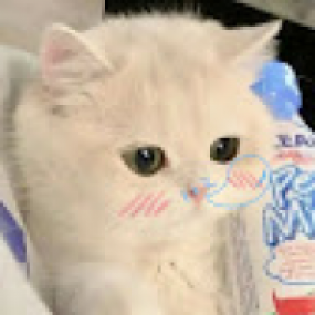 Kieuanh1205 - 2025-05-03 09:55:27