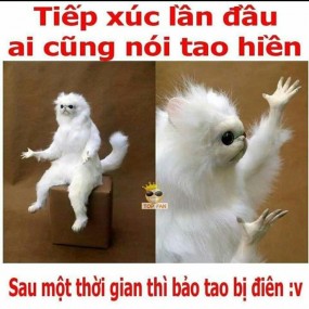 Sự thật hiển nhiên B-)