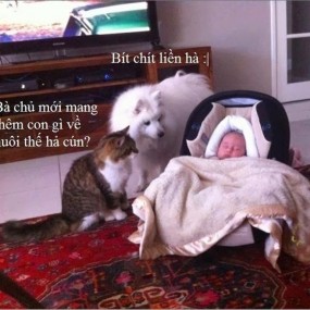 Chúc mn luôn zui zẻ!