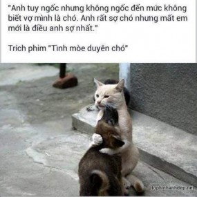 Chúc mn luôn zui zẻ!