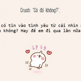 hôm nay mị sẽ đề cập đến 1 chữ CRUSH