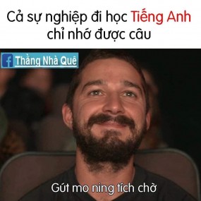 có bạn nào như z ko