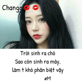 quotes chất