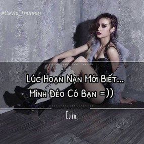 quotes chất