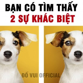 Câu Đố Tìm Điểm Khác Biệt